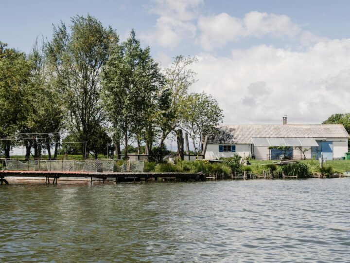 Riverside Country Park