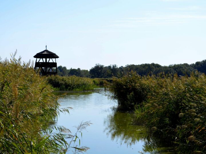 Parco di Incoronazione di Szkesfehrvr