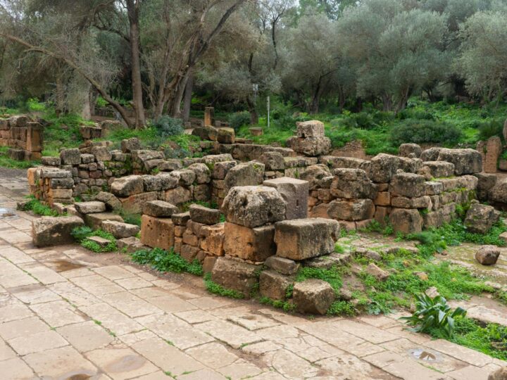 Le Terme Romane