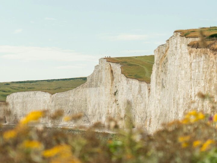 Towner Eastbourne