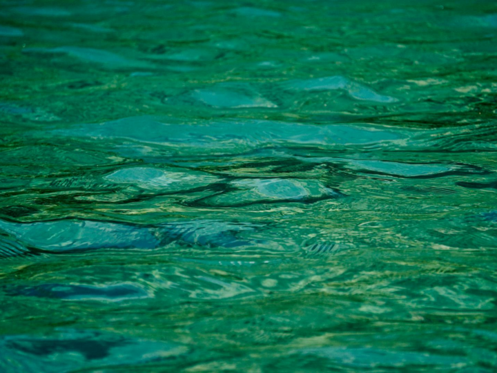 Parque acutico Wave