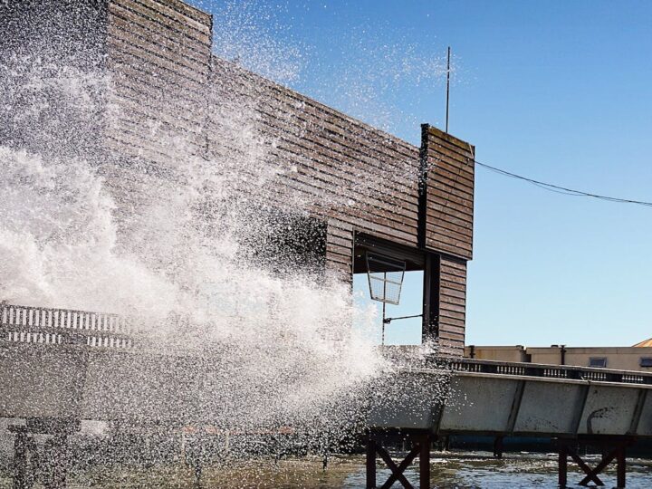 Parque acutico Wave