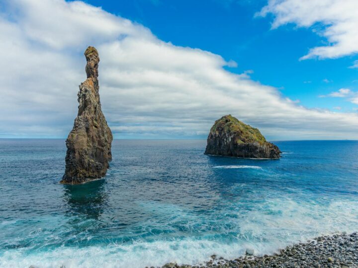 Museo della balenottera di Madeira