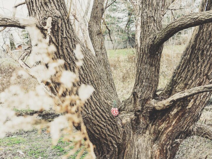 Парк Withy Grove