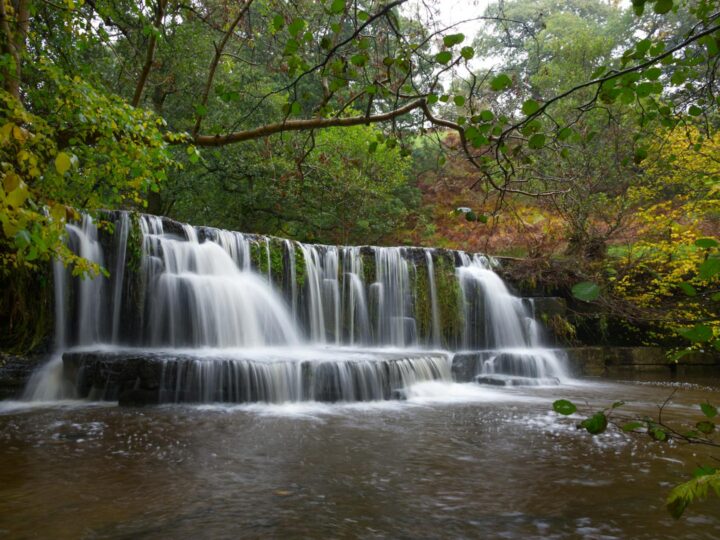 Parque de Vida Selvagem de Yorkshire