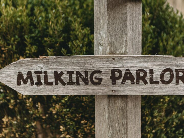Parco Naturale Arrow Valley