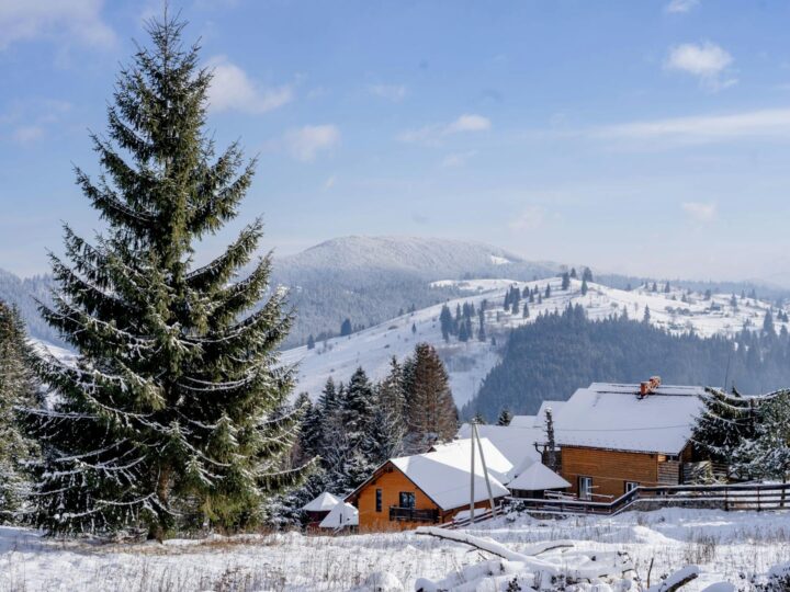 Bucovina Dorfmuseum
