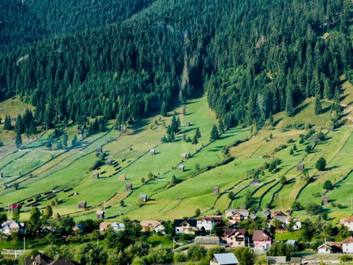 Bucovina Dorfmuseum