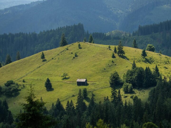 Bucovina Dorfmuseum
