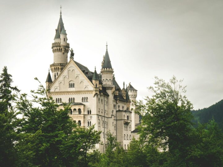 Castillo Sohail