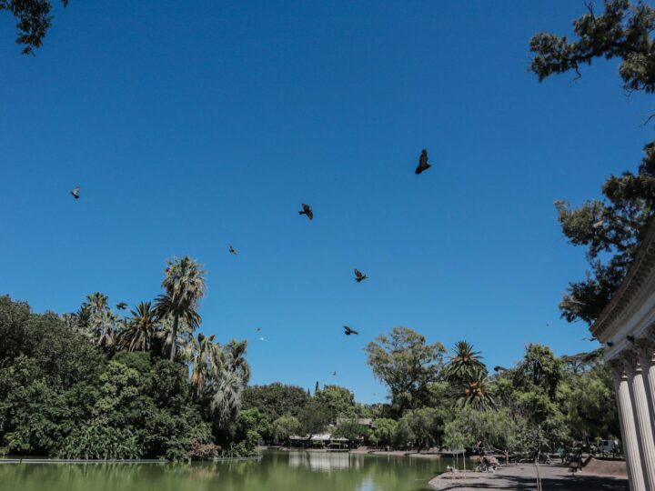 Parque Cillarese
