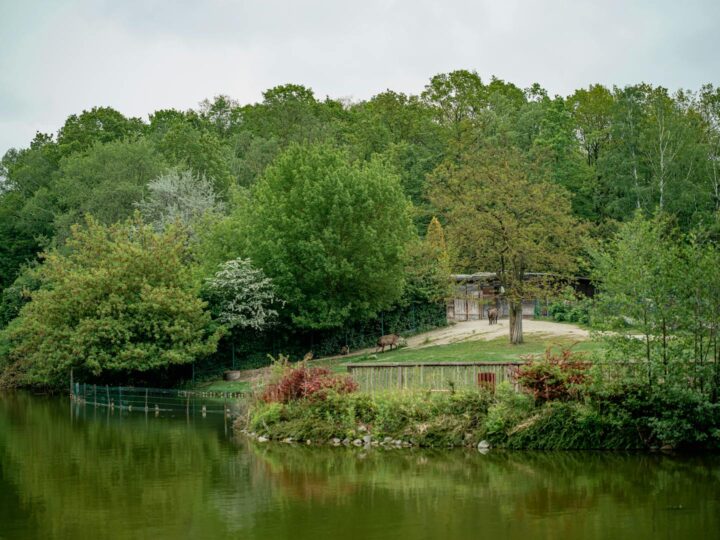 Zoo e Conservatorio di Como Park