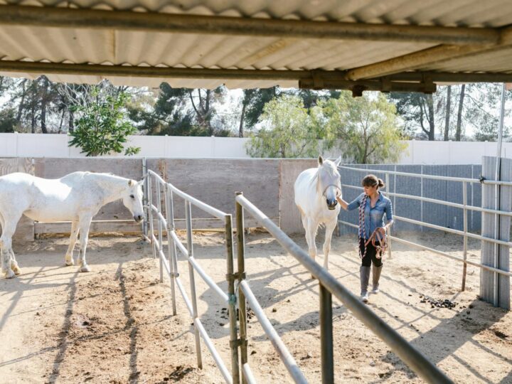 Водний парк Corral Grande