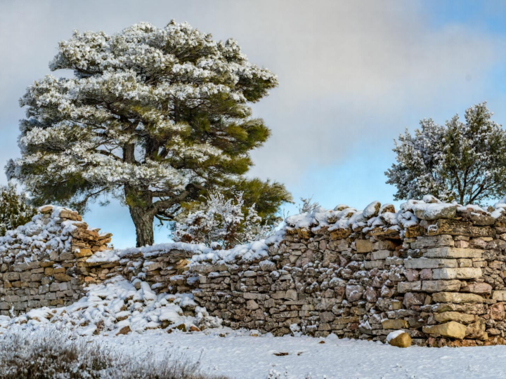 Parco Regionale Cuenca Alta del Manzanares