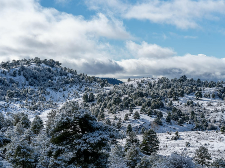 Parco Regionale Cuenca Alta del Manzanares