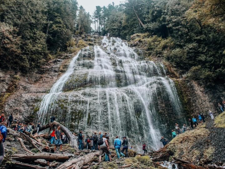 Reserva de elefantes y parque de aventuras Starkenberg
