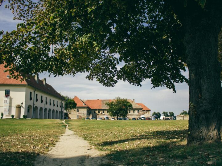 Emmezeta  Osijek