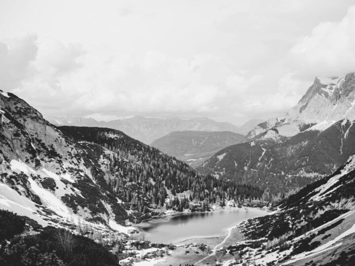 Wald Crihala