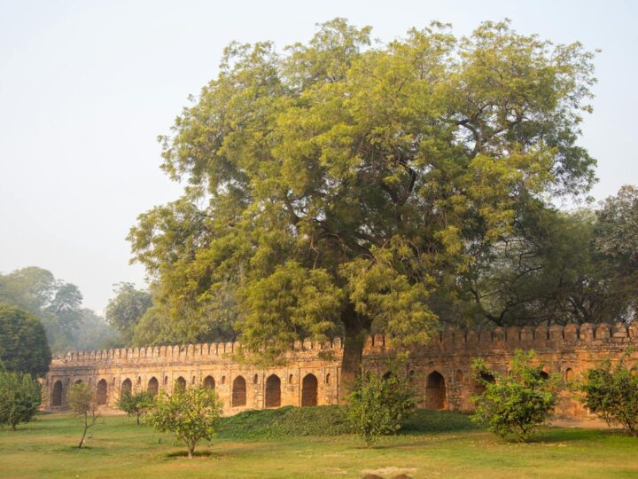 Park Fort Louis