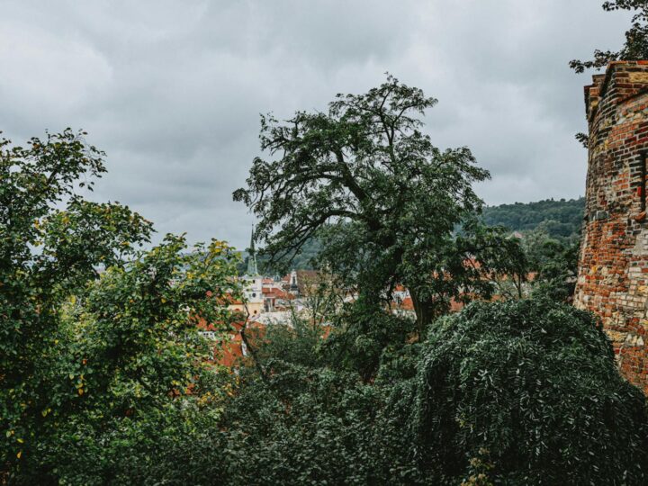 Park Fort Louis