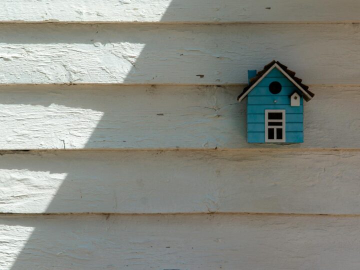 France Miniature