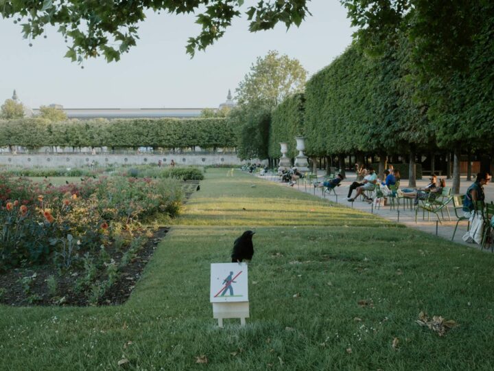 Jardins dole