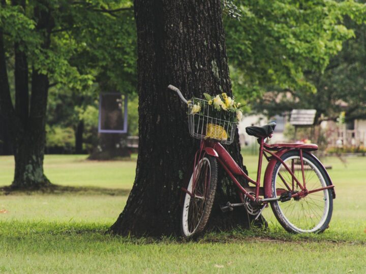 Parco Nazionale di Harrold Odell