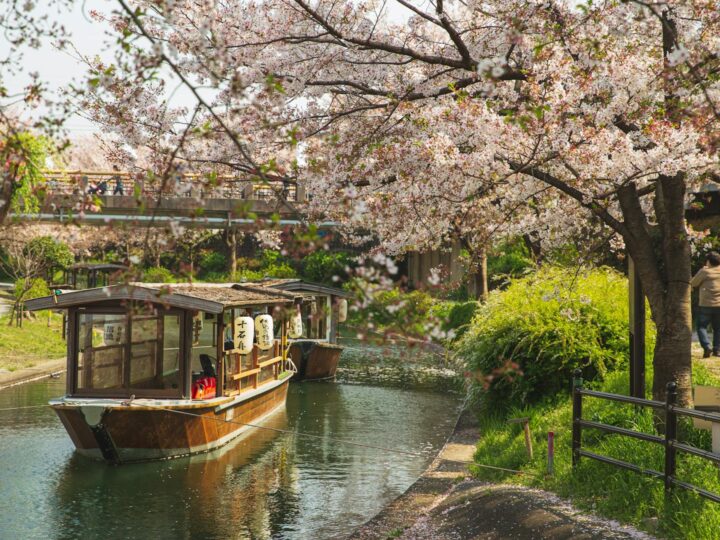 Parque do Canal da Infanta