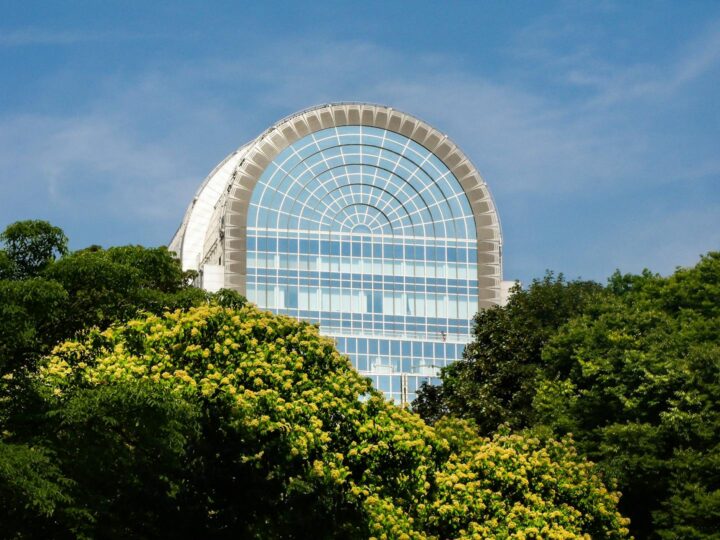 Parco Leopold