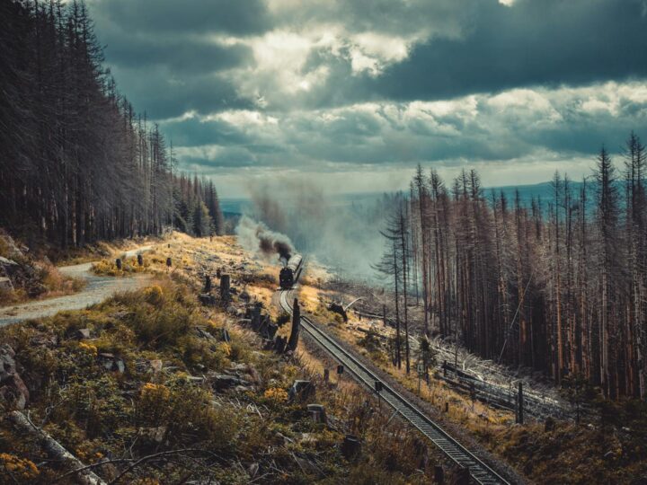 Locomozione