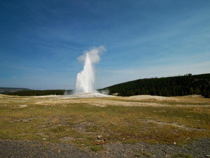 Parque Forestal Nacional de la Plvora de Sevran Livry