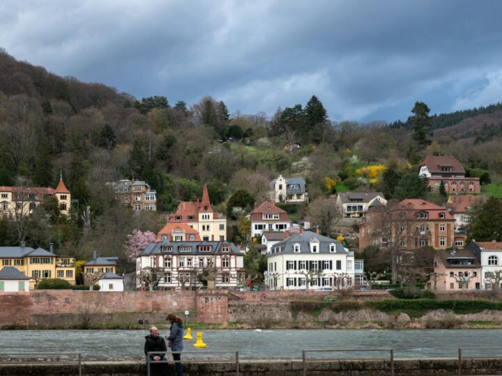 Isla del Neckar