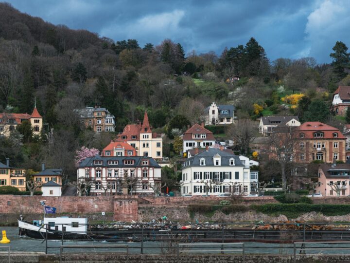 Isla del Neckar