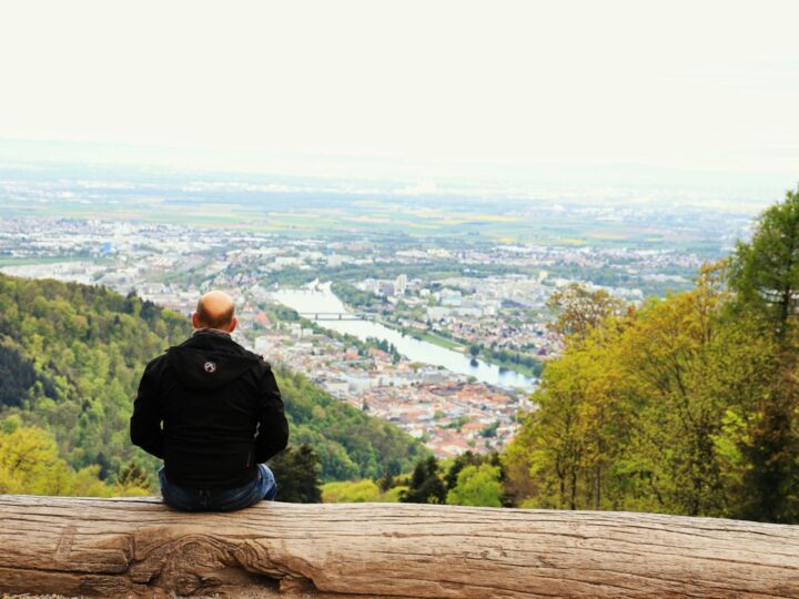 Isla del Neckar