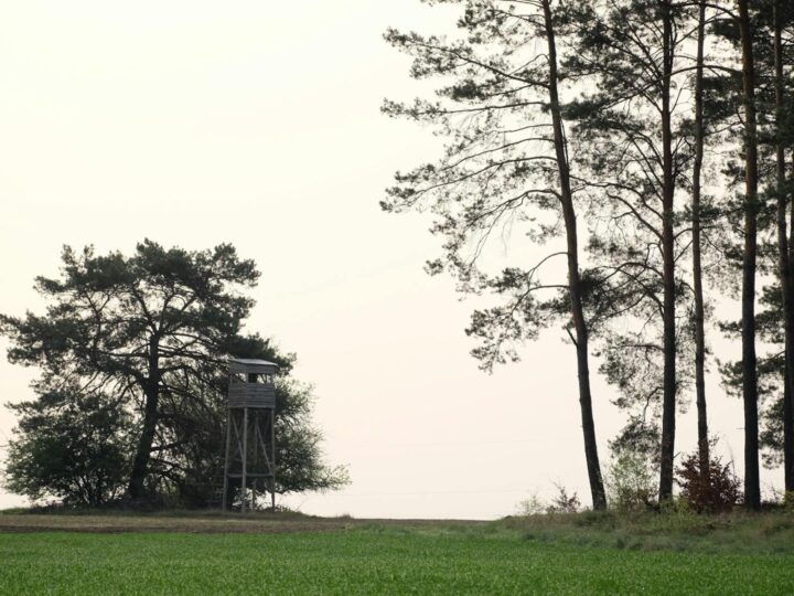 Riserva Metropolitana di Oak Openings
