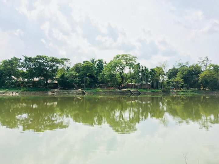 Park Oaza