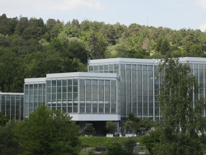 Antiguo Jardn Botnico de Tbingen