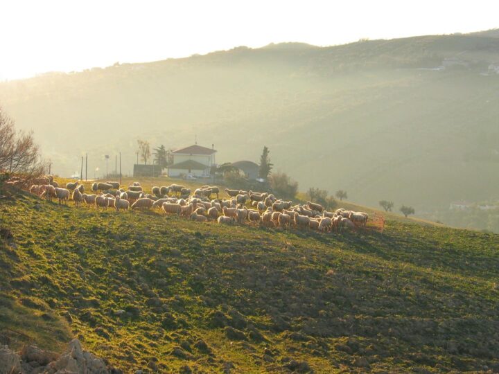 Parc Agrari del Baix Llobregat