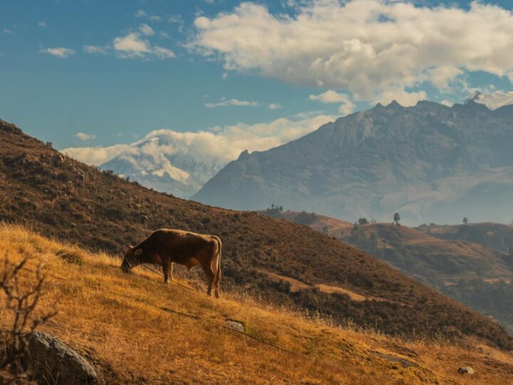 Parco Naturale Regionale delle Alpi Apuane
