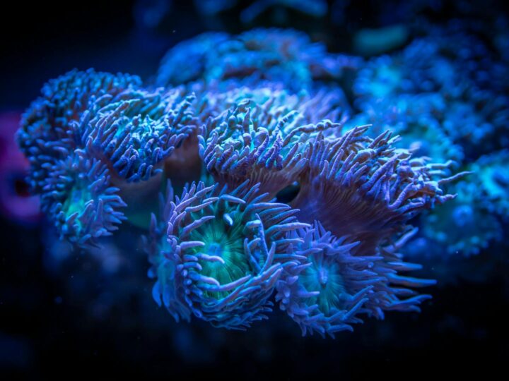 SEA LIFE Konstanz