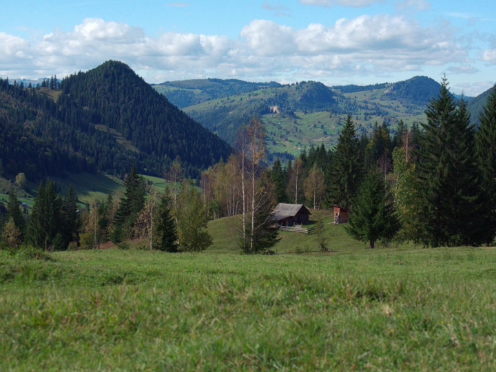 Festung von Suceava