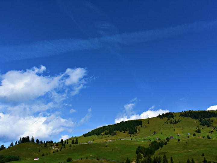 Festung von Suceava