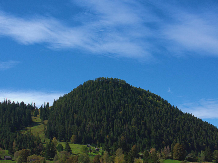 Festung von Suceava