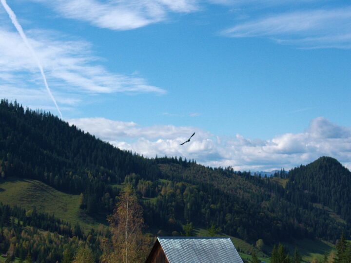 Festung von Suceava