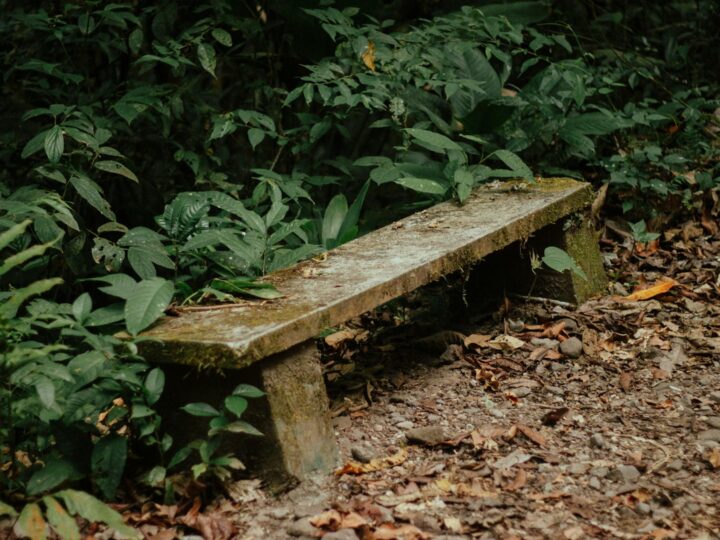 Foresta di Swinley