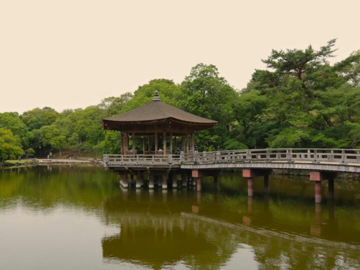 Parque Acutico Nyonsoleado