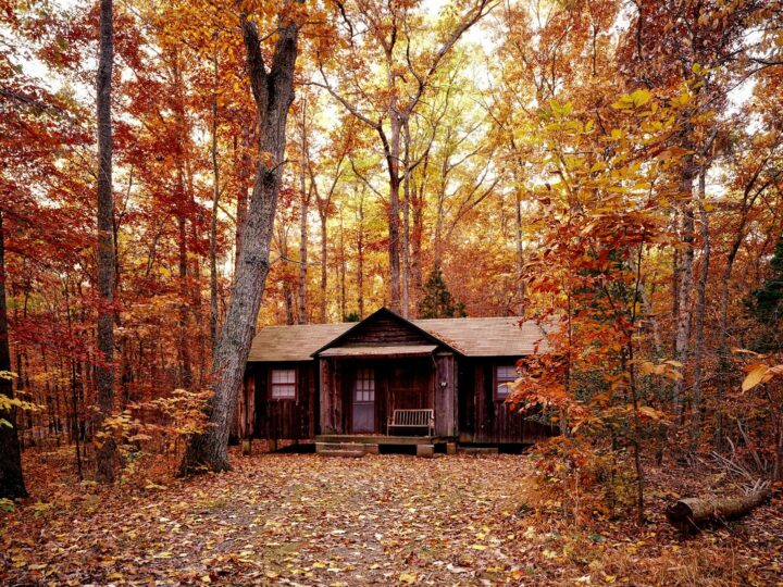 Parque Country de Weelsby Woods