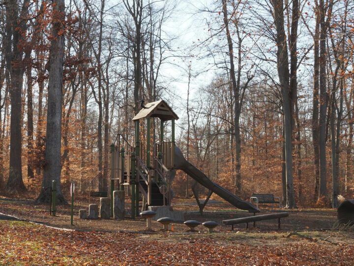 Parque Country de Weelsby Woods