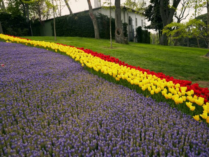 Jardin botanique arctiquealpin