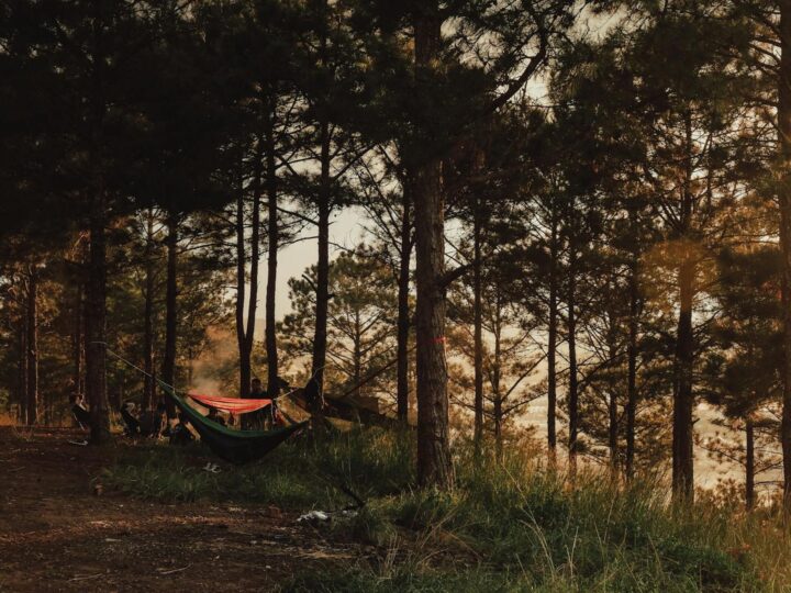 Camping Park Haddorfer Seen